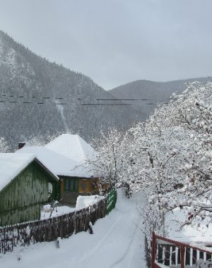 Pensiunea-Valea_Mori-Vidra_1