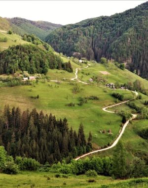 bendesti