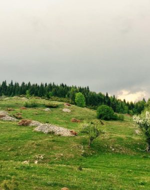 cheile-vaii-morilor-15