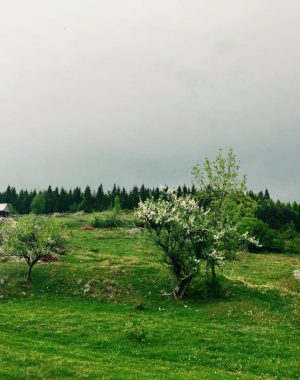 cheile-vaii-morilor-16