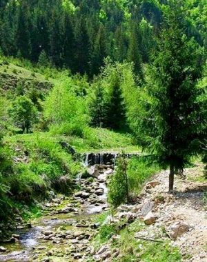 cheile-vaii-morilor-5