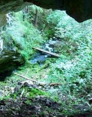 cheile-vaii-morilor-6