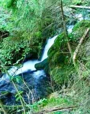 cheile-vaii-morilor-9