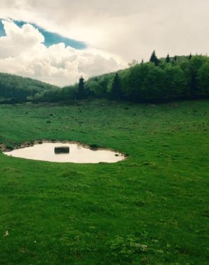 circuitul-cascada-pisoaia-vidrei--platoul-poieni_757