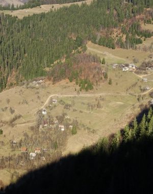 coltul1