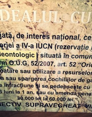 dealul-cu-melci-11