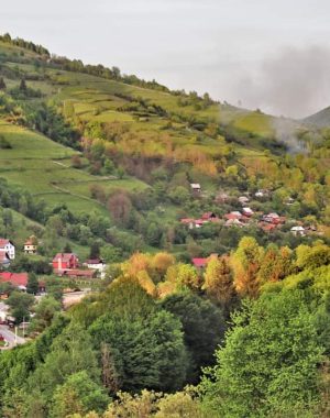 ponorel